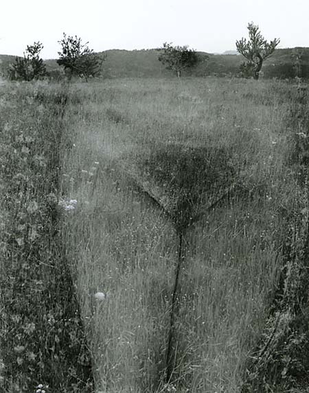 Harry-Callahan-38