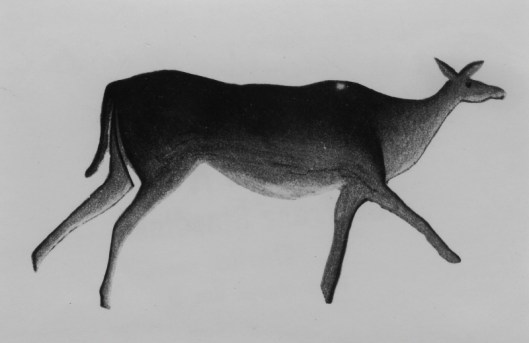 Arte rupestre - Antílope - Africa do Sul 03