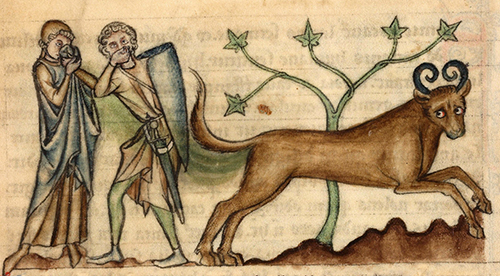 Bonnacon-Medieval-Monster-01 500px